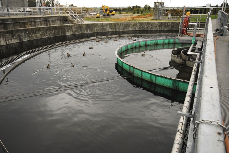 182 - Lulu Island Wastewater Treatment Plant Stage IV Expansion - 3
